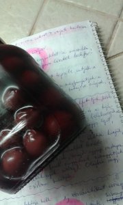 20160316_200822_elozmeny a jasz meggyeshez