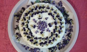 20160327_164405_ibolyás-árvácskás túrótorta