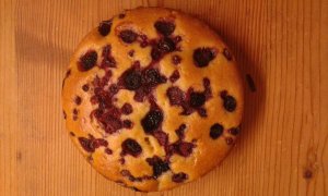 20160405_190209_erdei vegan