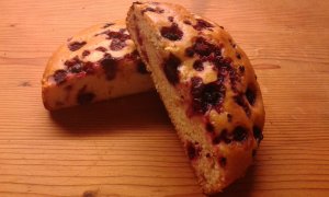 20160405_190431_erdei vegan 3