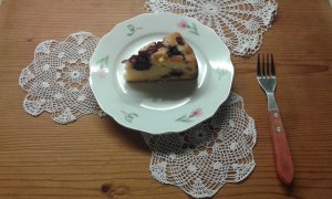 20160405_190801_erdei vegan szelet 2