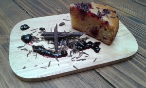 20160406_094127_erdei vegan szelet_modern talalas