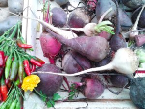 renisveggieworld_2016-10-23-09-55-36