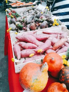 renisweggieworld-3_2016-10-23-09-55-15